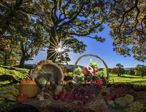 Agriculture et Consommation